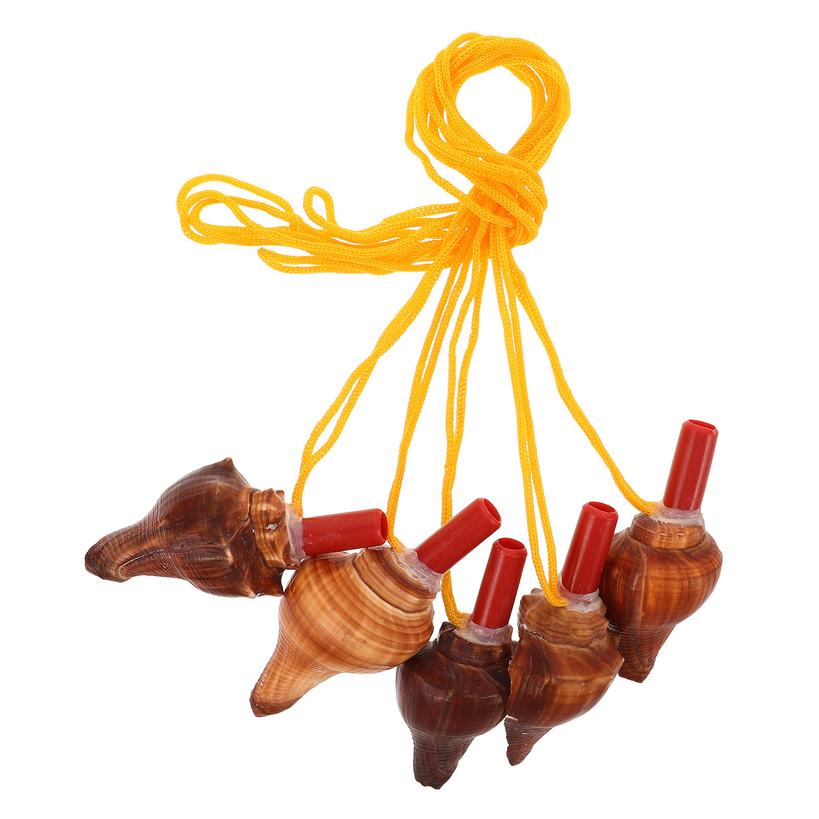 5Pcs Conch Whistle Natural Sea - Outdoor Adventure Kids Party ulasan dan harga